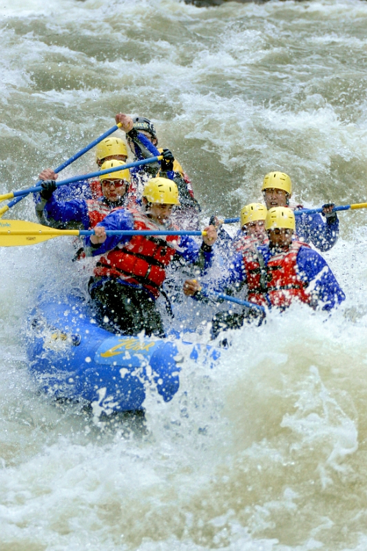 Raft 09 